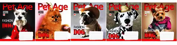 Зошит 12 аркушів, клітинка, YES, PET AGE - зображення 5