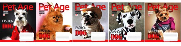 Зошит 12 аркушів, клітинка, YES, PET AGE - зображення 1