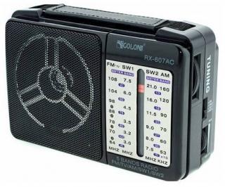 Фото товару Радіо Golon RX-607AC (середнє)